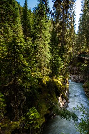 Johnston Canyon in Banff National Park, Alberta, Canadaの写真素材
