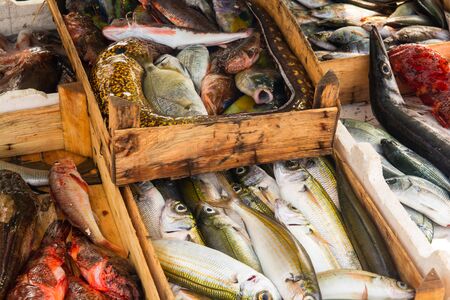 Fresh fishes sold from the boat