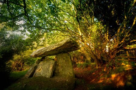 Gaulstone dolmen lays under the treesの写真素材