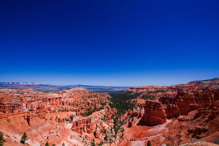 Pine gulch in typical Bryce canyon red sandstoneの写真素材