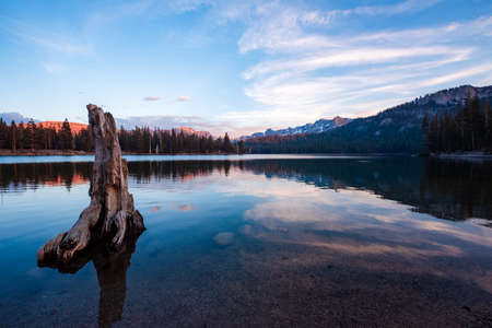 Horseshoe lake in Mammoth mountains areaの写真素材