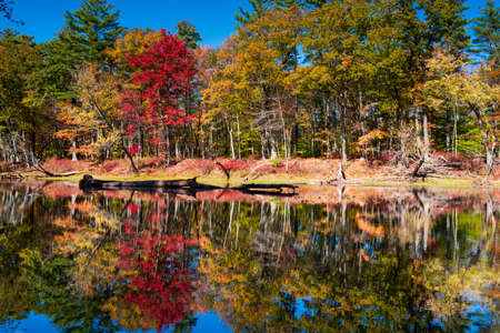 Fall color reflection on Saco riverの写真素材