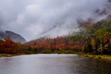 Saco river in the White mountain by a rainy fall day