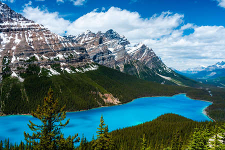 Peyto lake is a glacier field lake fed with melting iceの写真素材
