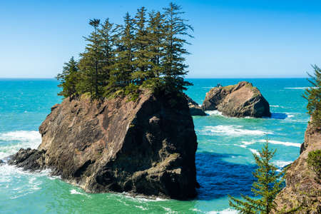 Trees settled on top of an island rockの写真素材