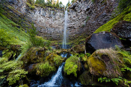 Moss and vegetation around Watson falls in Oregonの写真素材