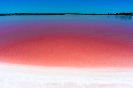 Salt beach near a pink lakeの写真素材