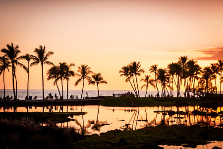 Hawaiian sunset at kuualii fish pondの写真素材