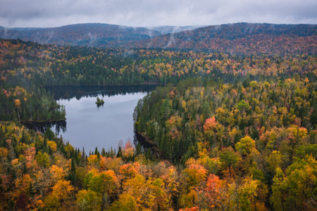 Horse lake in La Mauricie national park in Quebec