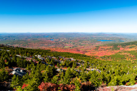 Pine forest and fall foliage colors on the hills of Mount Monadnock