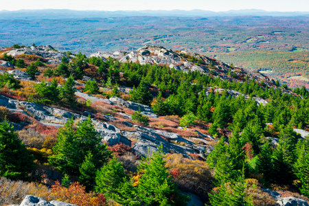 Pine trees on the hills of Mount Monadnockの写真素材