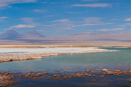 Laguna tebinquiche a salt pound in the desertの写真素材