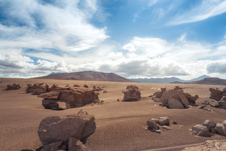 Field of stones in the desert in Boliviaの写真素材