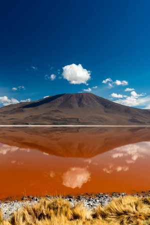 Reflection of a mountain on the orange water of the laguna coloradaの写真素材