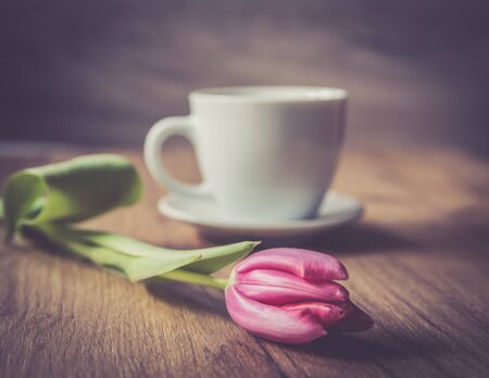 coffee cup with tulipsの写真素材