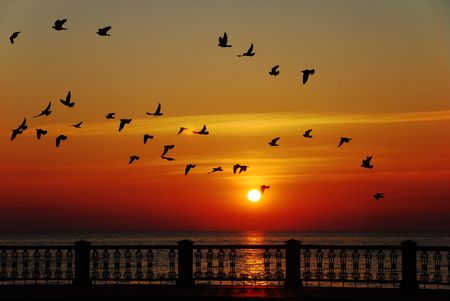 Dawn above the seaの写真素材