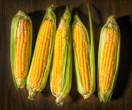 Fresh uncooked maize on a table