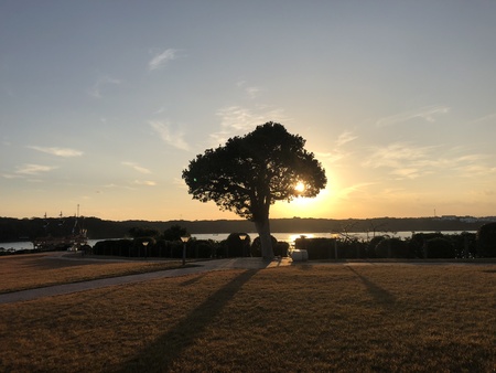 Sunset sceneryの写真素材