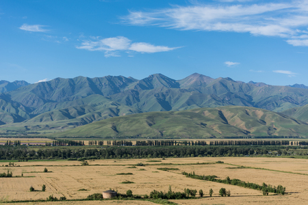 Nalati prairie sceneryのeditorial素材