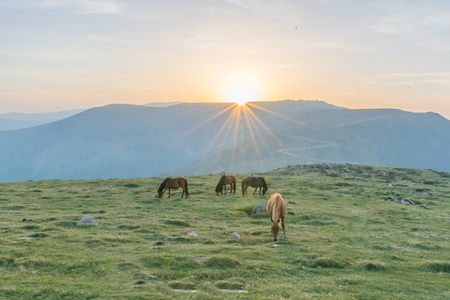 Wutai Mountain sunrise of Chinaの写真素材
