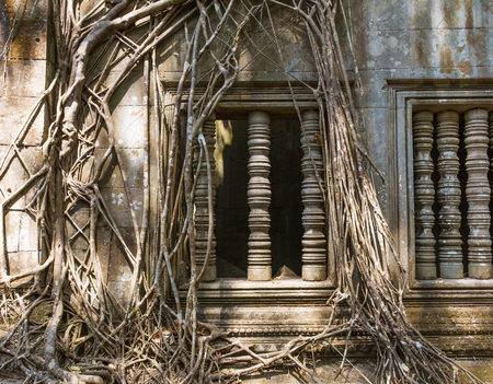 Beng Mealea in Siem Reap,Cambodia