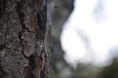 Holding on to an opportunity.の写真素材