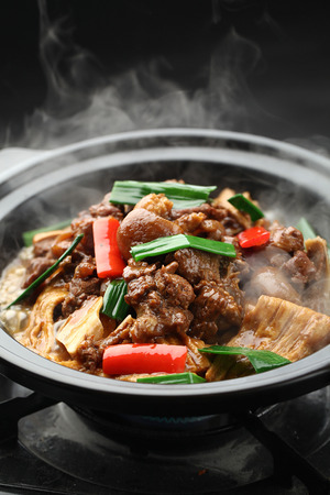 Braised lamb potの写真素材