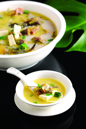 Cook tofu yellow bone fish