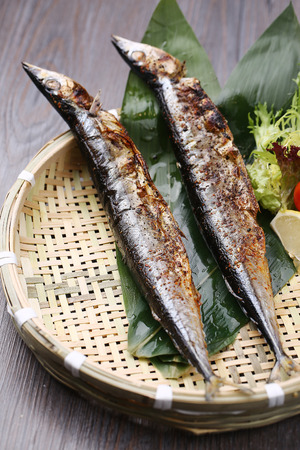 Salt burn sauryの写真素材