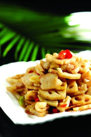 Fried lotus rootの写真素材