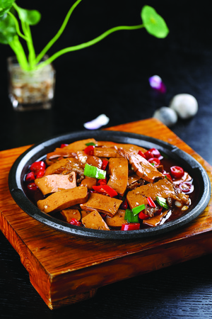 stewed tofuの写真素材