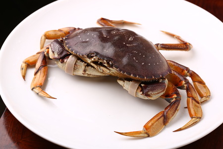 fresh crab