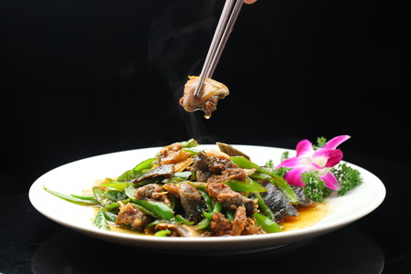 Green pepper with spring chinese softshell turtleの写真素材