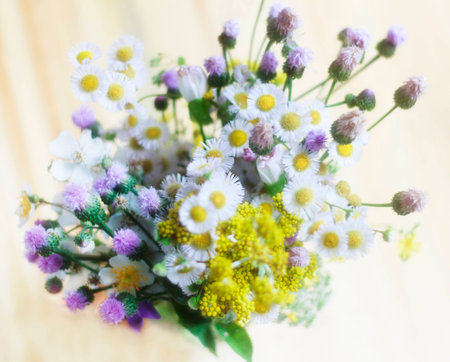 Bouquet of wildflowersの写真素材