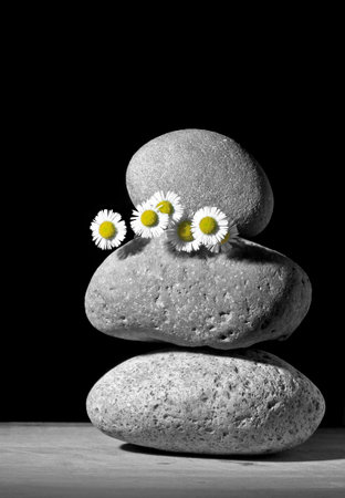 Flower and Stoneの写真素材