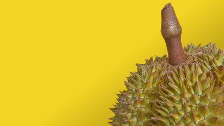 Photos of half of the fresh durian on a yellow backgroundの写真素材