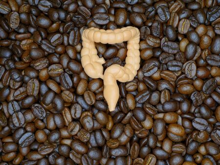 Large intestine on a coffee bean background