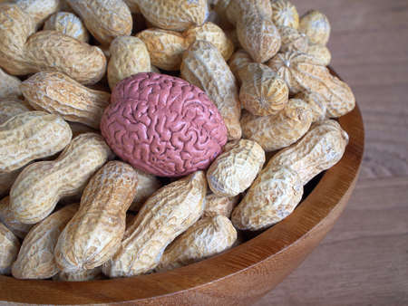Eating peanuts can help reduce the chance of stroke in the brain.