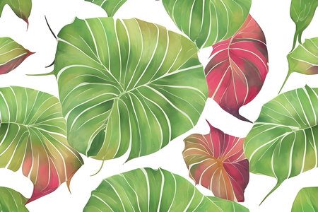 pattern of Caladium multicolored leavesの写真素材