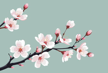 Cherry blossom branch vector illustration. Spring blossom background.のイラスト素材