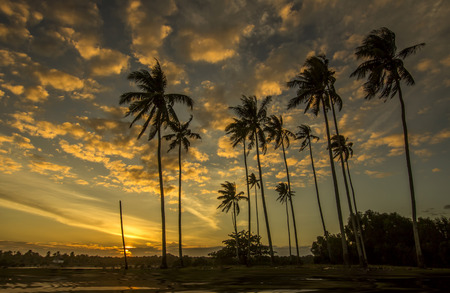 Scene at dusk in the villageの写真素材