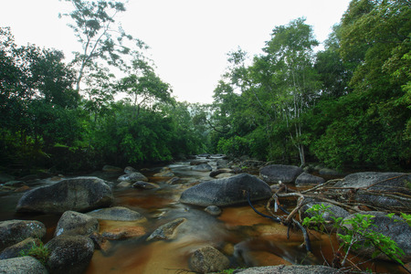 scenary at water fall with long exposureの写真素材