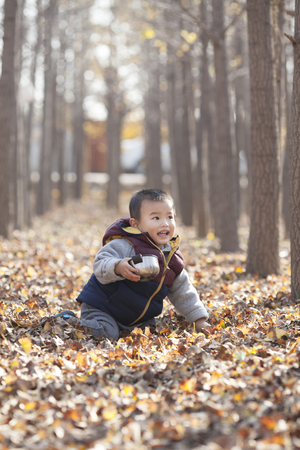 Chinese baby boy playing in ginkgo woods, shot in Beijing, Chinaの写真素材