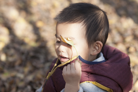 Chinese baby boy playing in ginkgo woods, shot in Beijing, Chinaの写真素材