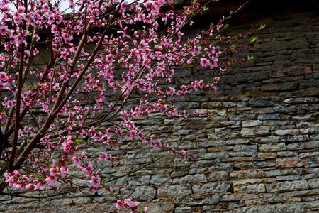 China Guizhou Province, Anshun, Pingba County Tianlong tunbao area, tunbao ancient town.の写真素材