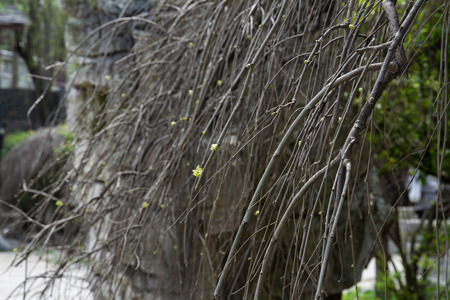 China&#39;s Guizhou Province, Anshun, Pingba County Scenic Tianlongtunbaoの写真素材