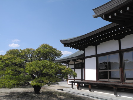 Japanese gardenのeditorial素材