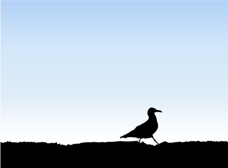 Image background. Silhouette of bird (gull). Blue sky.のイラスト素材