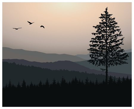 Woodland landscape. Morning in mountains. Birds in sky. Grey tones.のイラスト素材