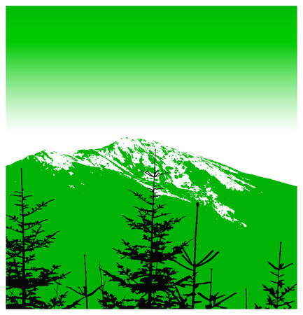 Panorama of mountains. Silhouette of mountains with snow and coniferous trees. Can be used as banner of mineral water.のイラスト素材